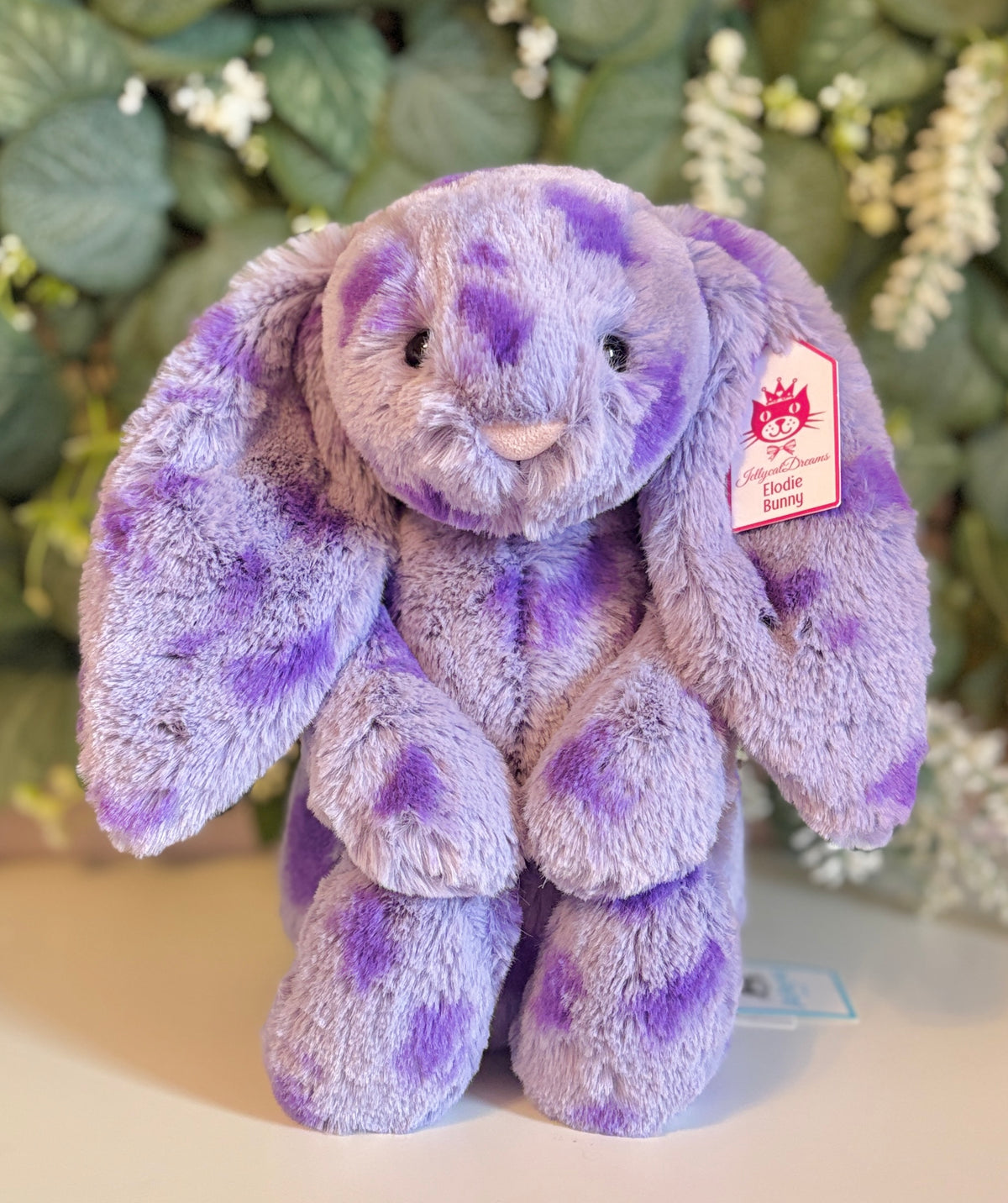 JellycatDreams Elodie Bunny