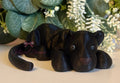 JellycatDreams 3D Paris Panther