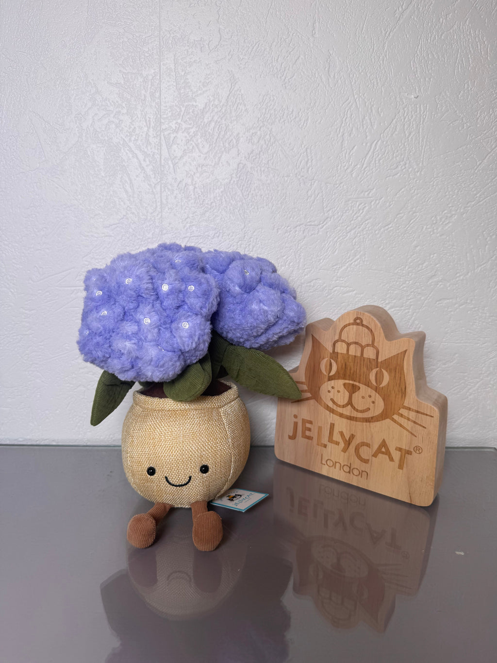 Hydrangea