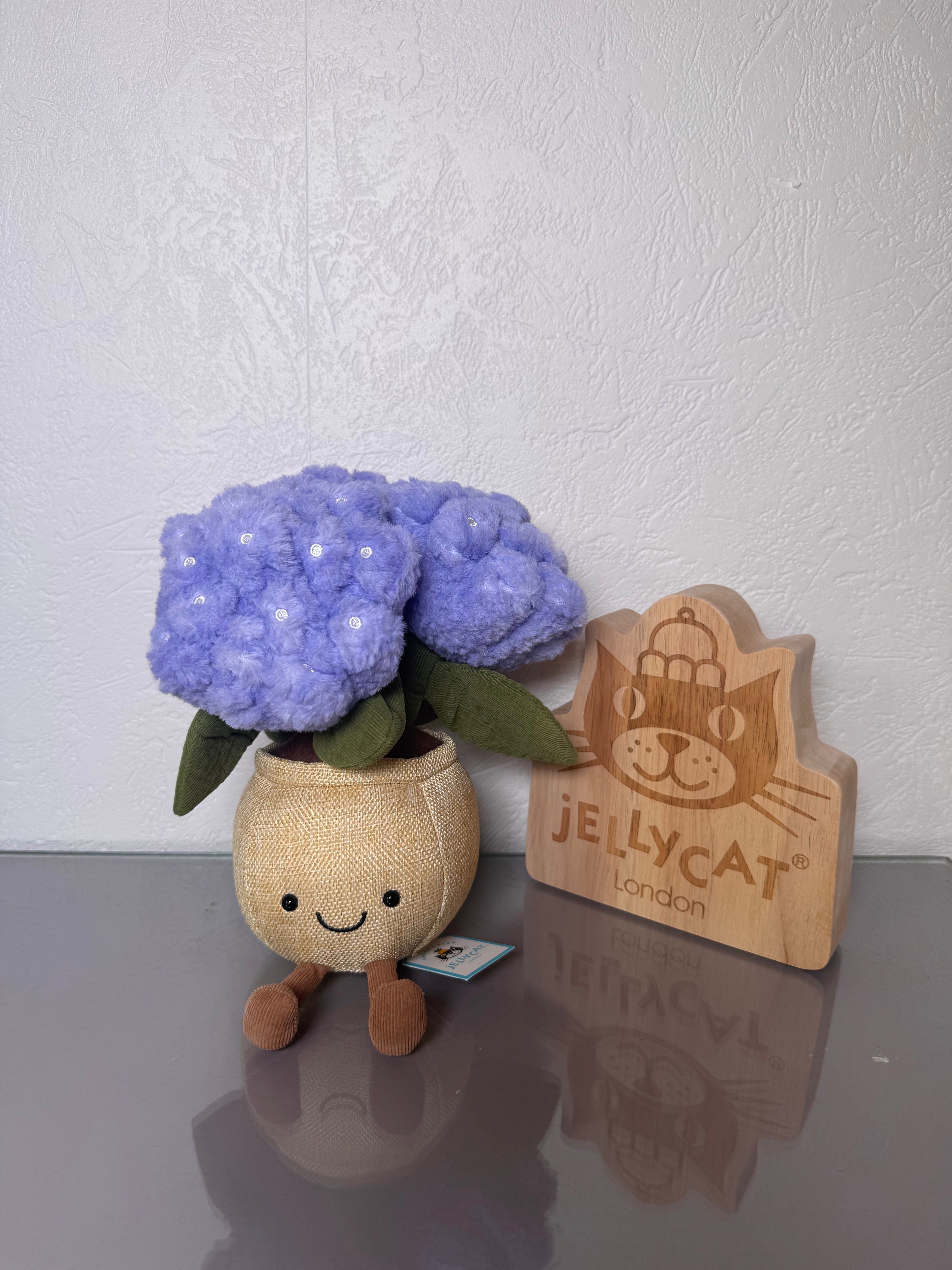 Hydrangea