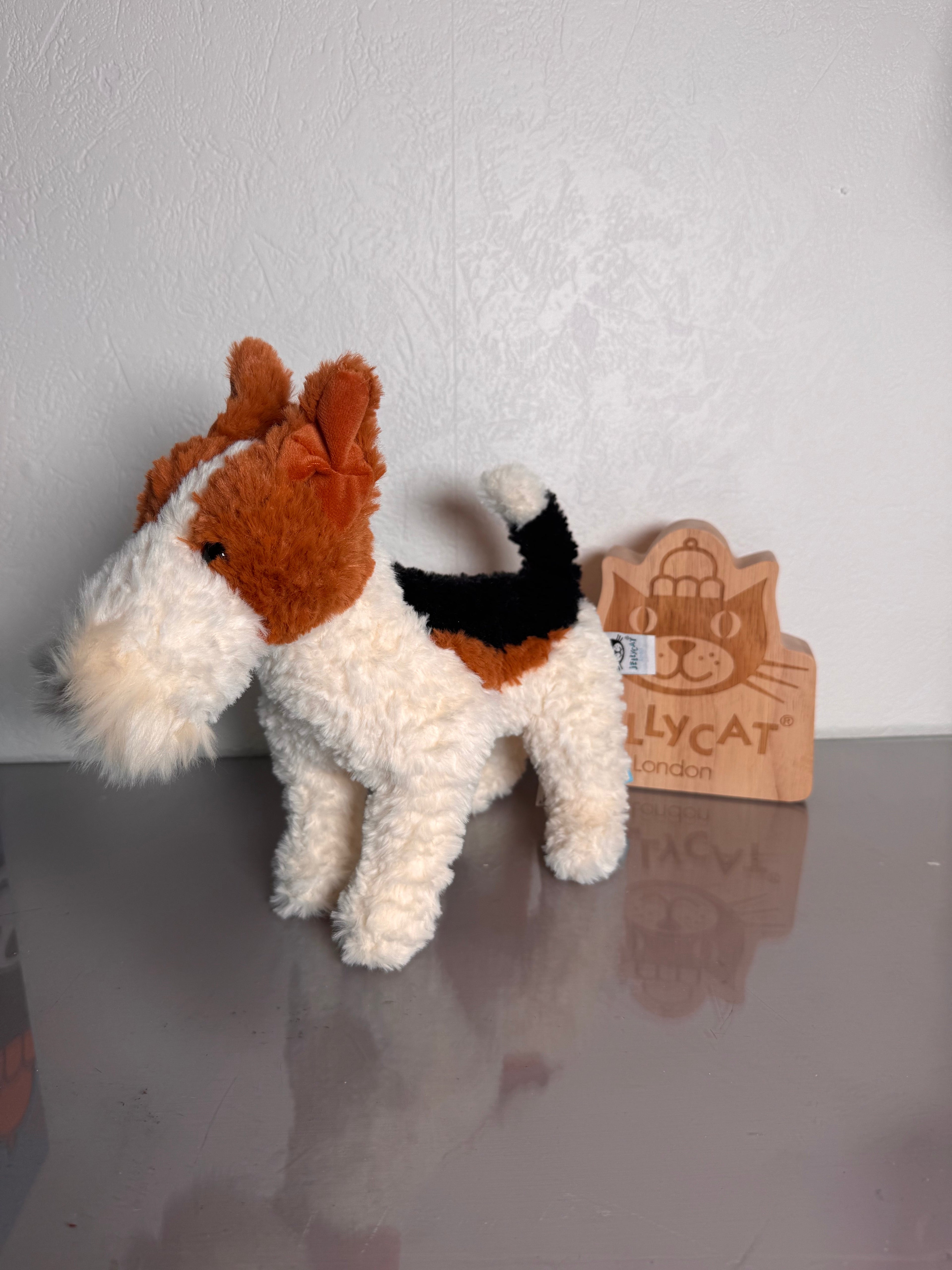 `Hector Fox Terrier