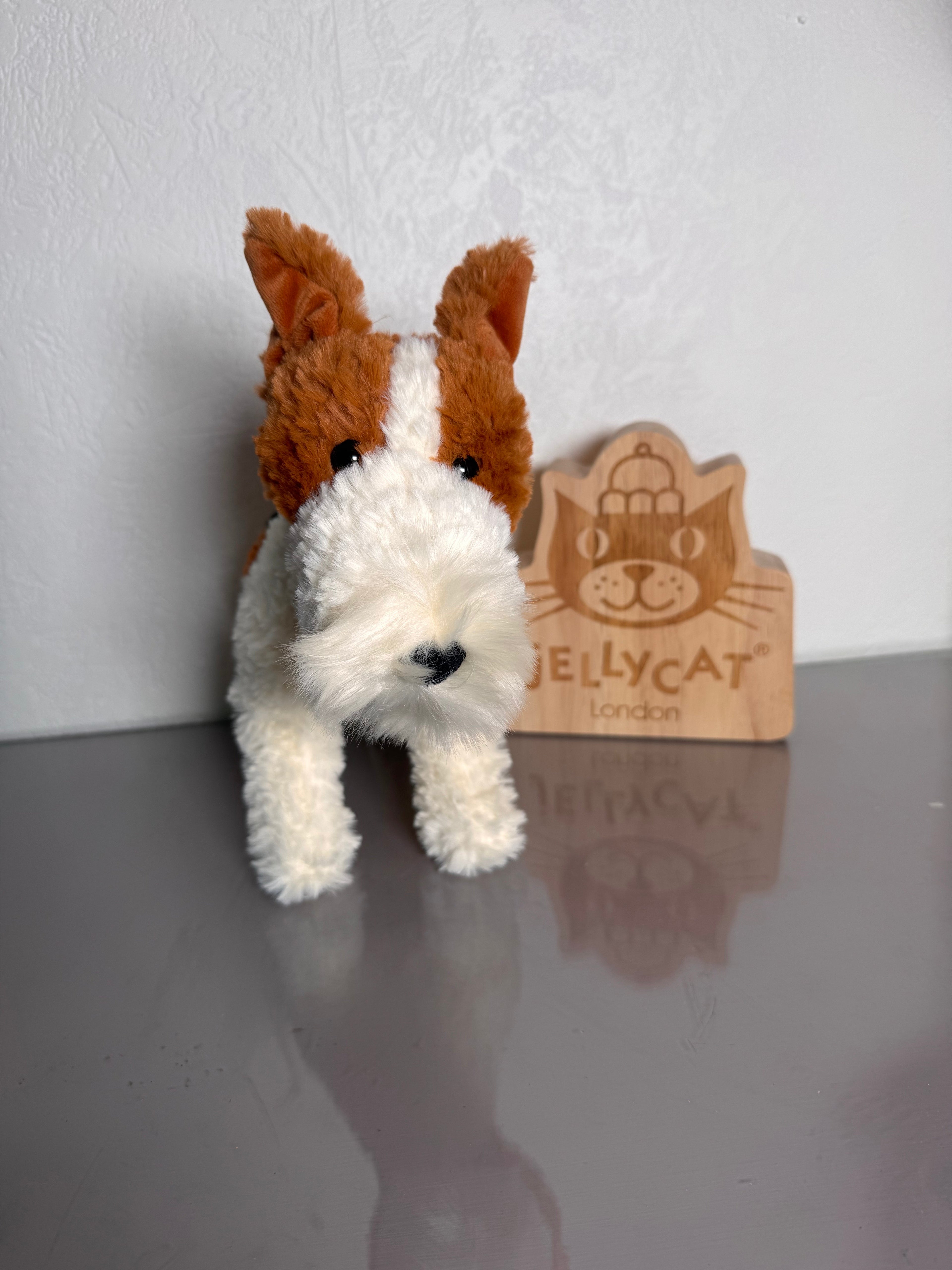 `Hector Fox Terrier