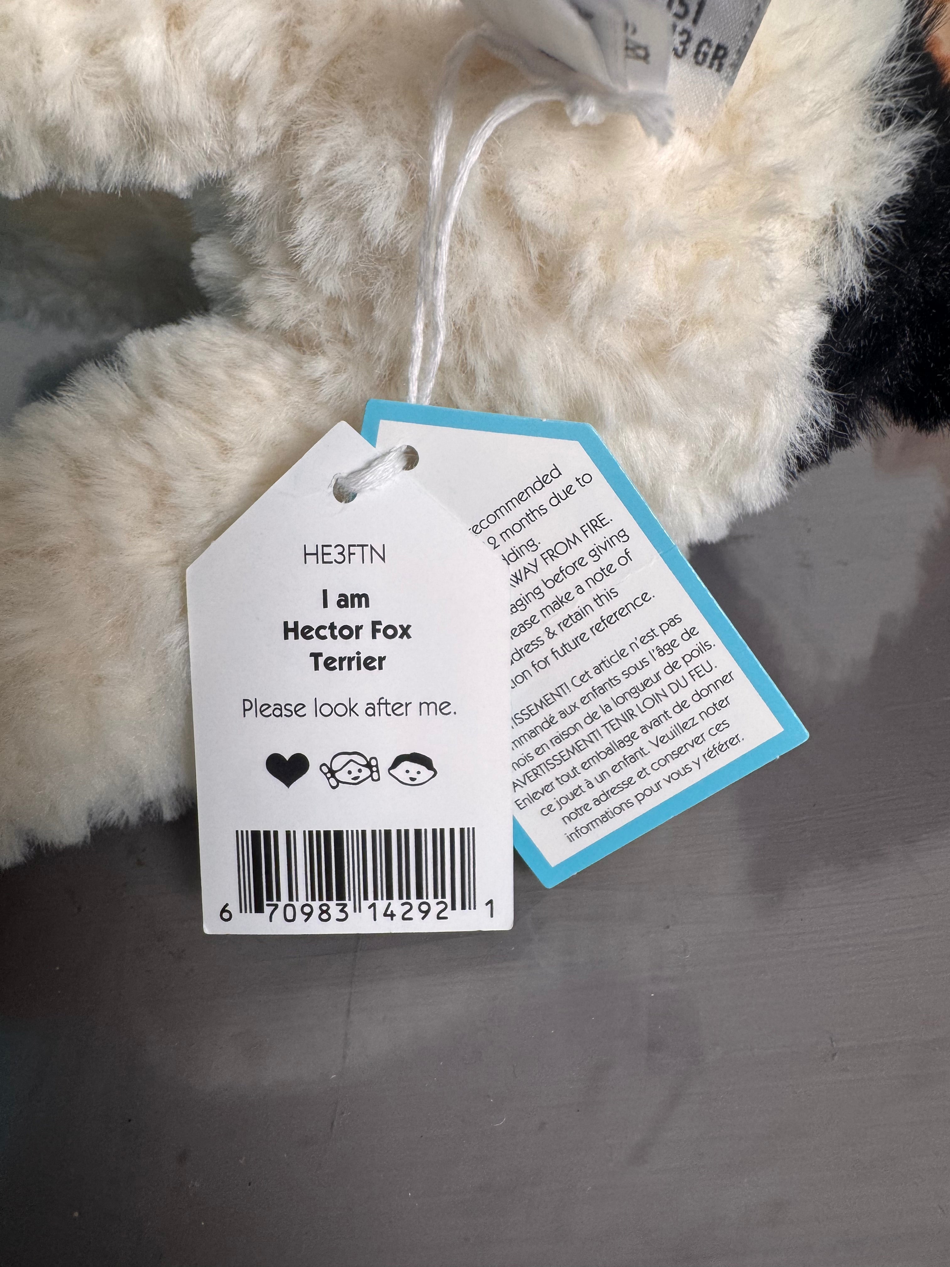 `Hector Fox Terrier