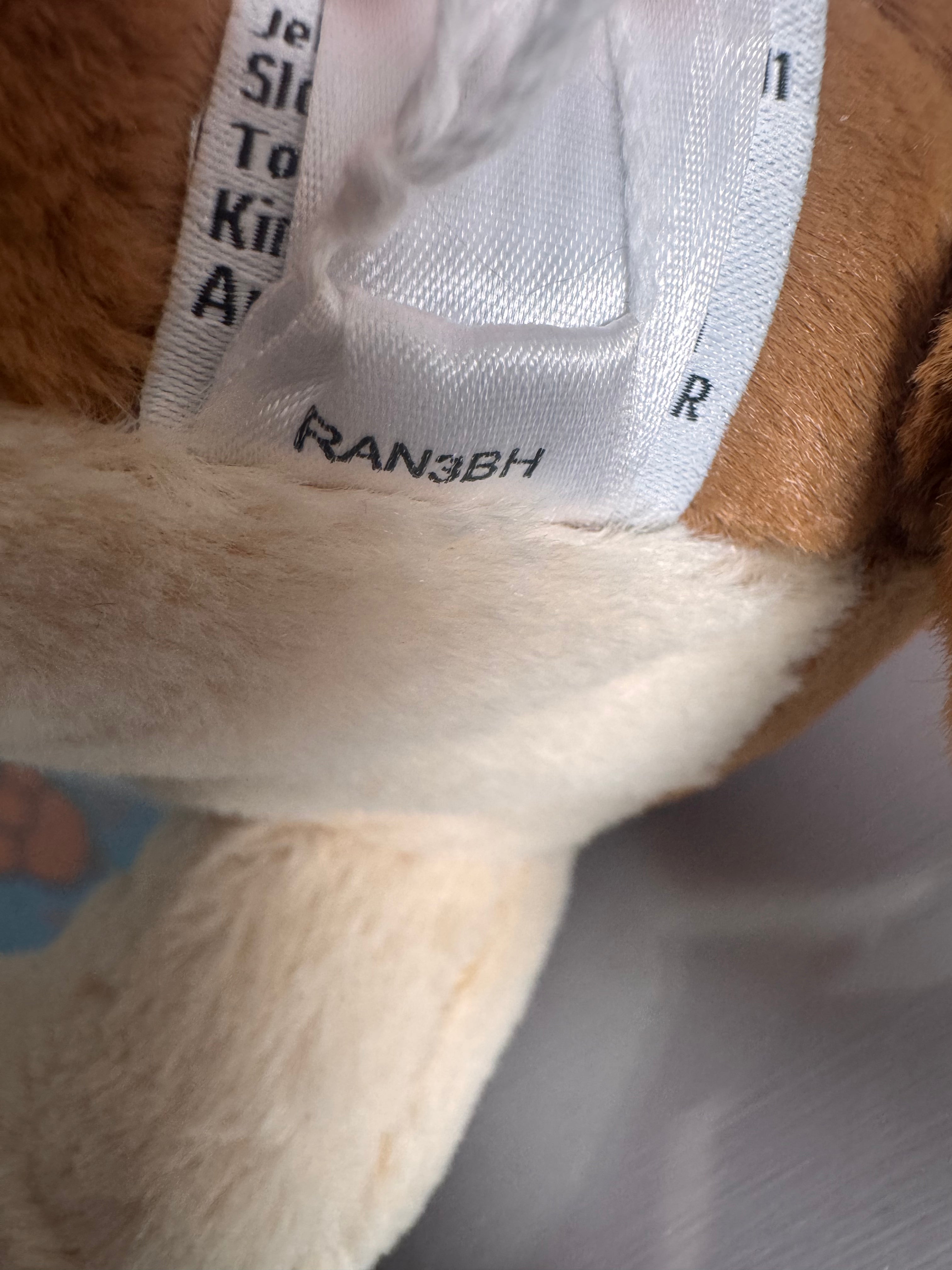 Randall Basset Hound