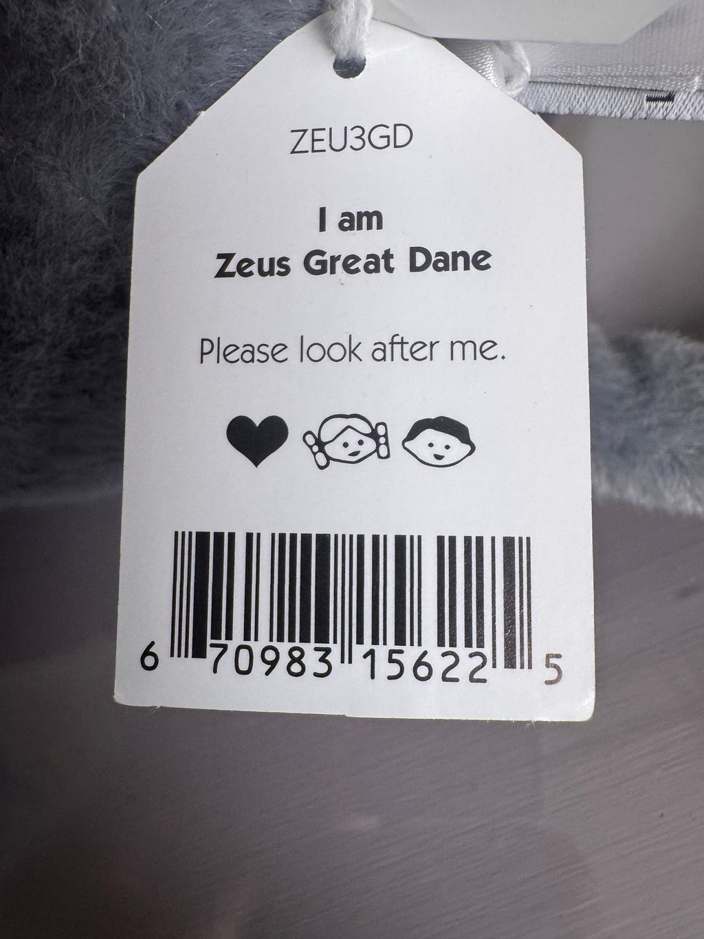 Zeus Great Dane