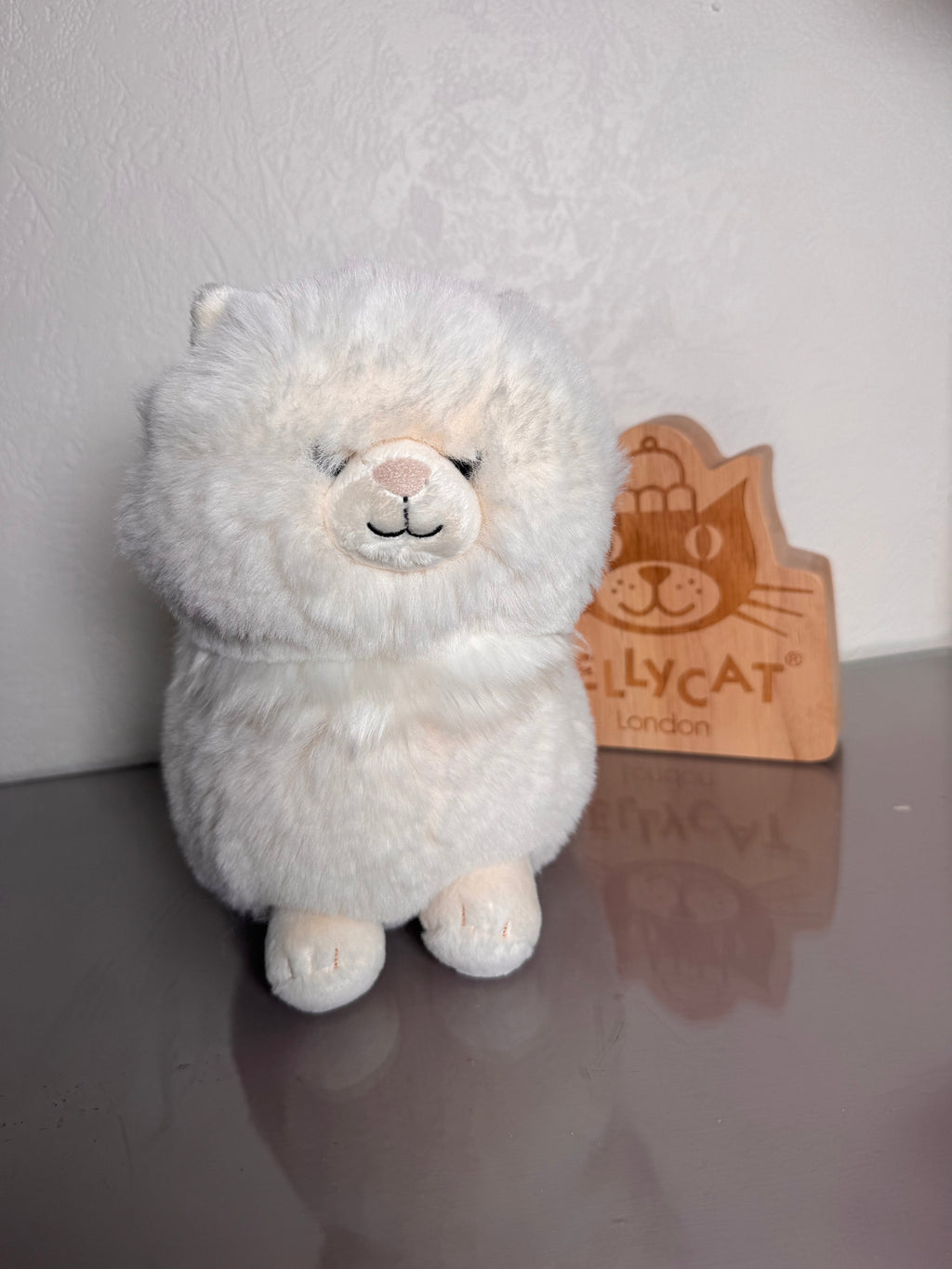 Clarissa Persian Cat