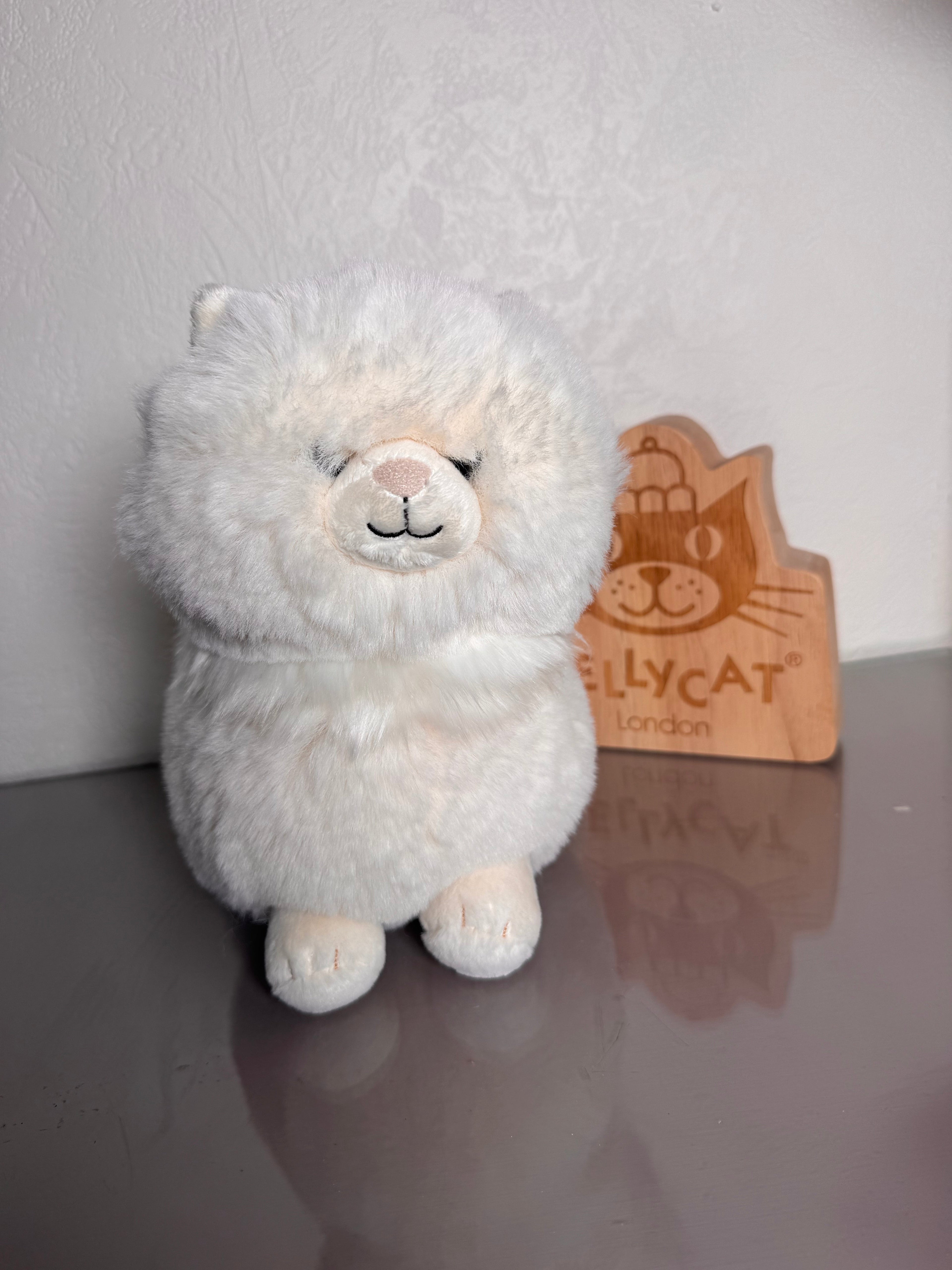 Clarissa Persian Cat