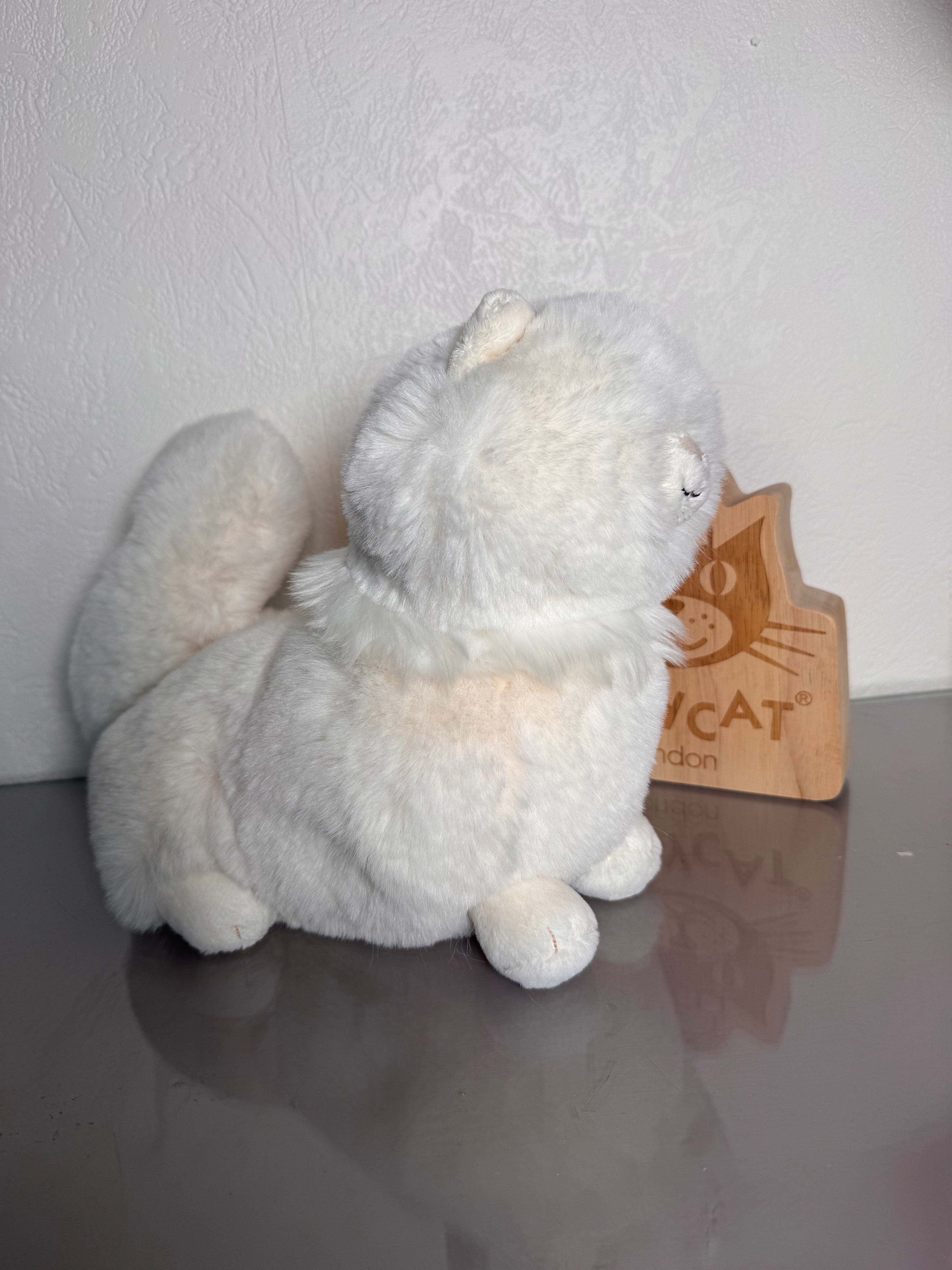 Clarissa Persian Cat