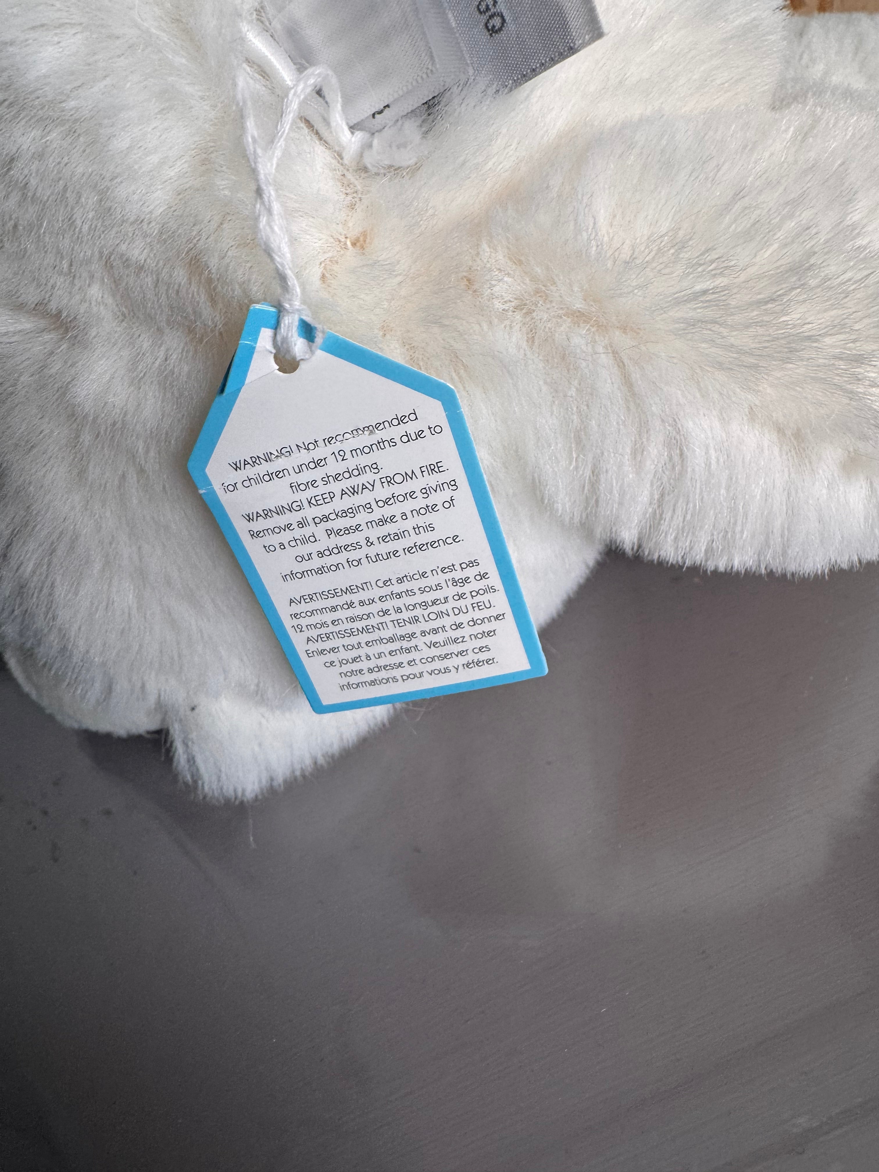 Clarissa Persian Cat