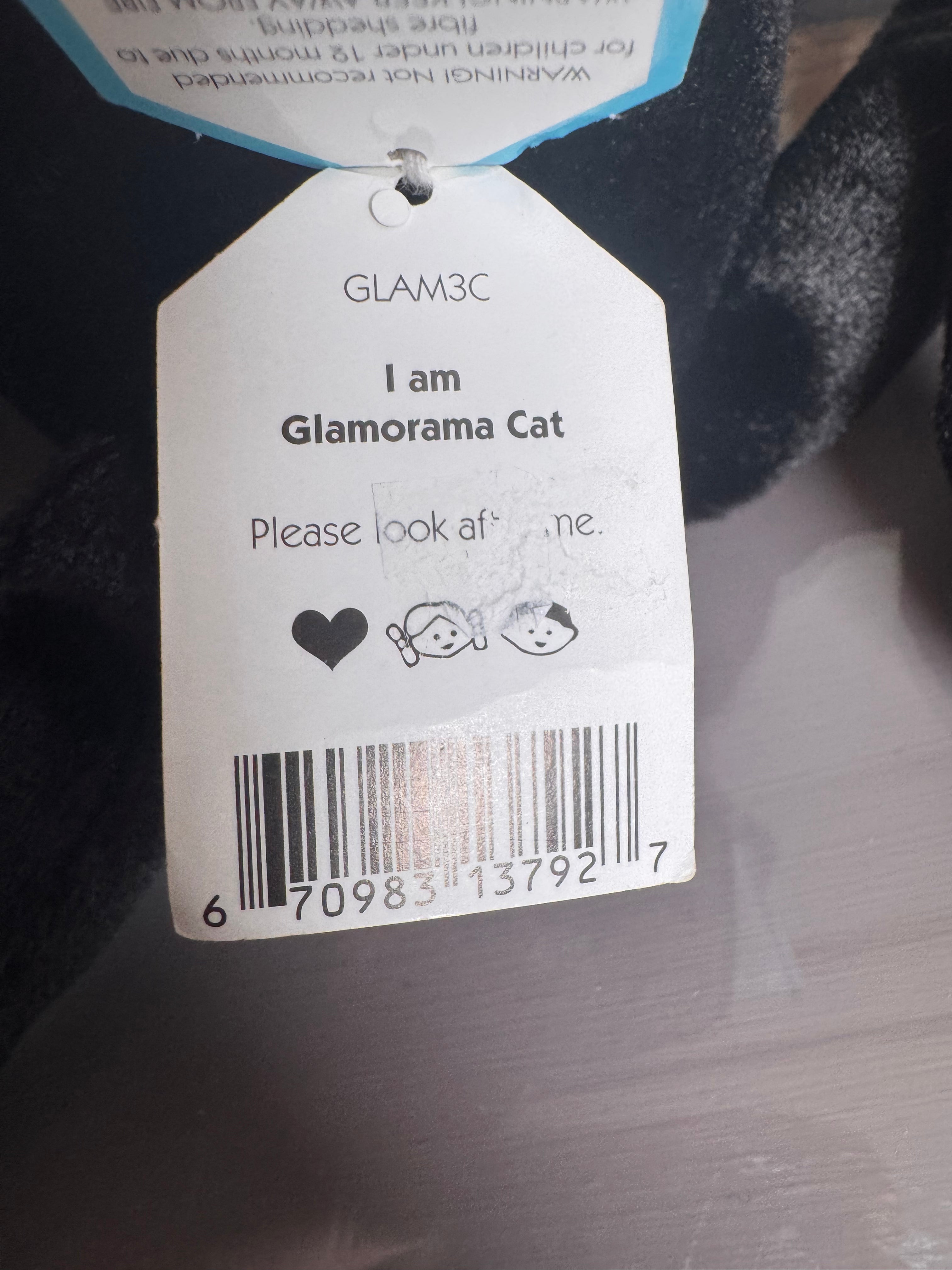 Glamorama Cat