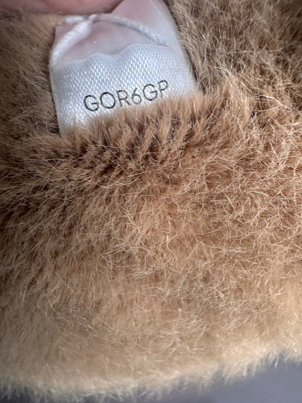 Gordy Guinea Pig