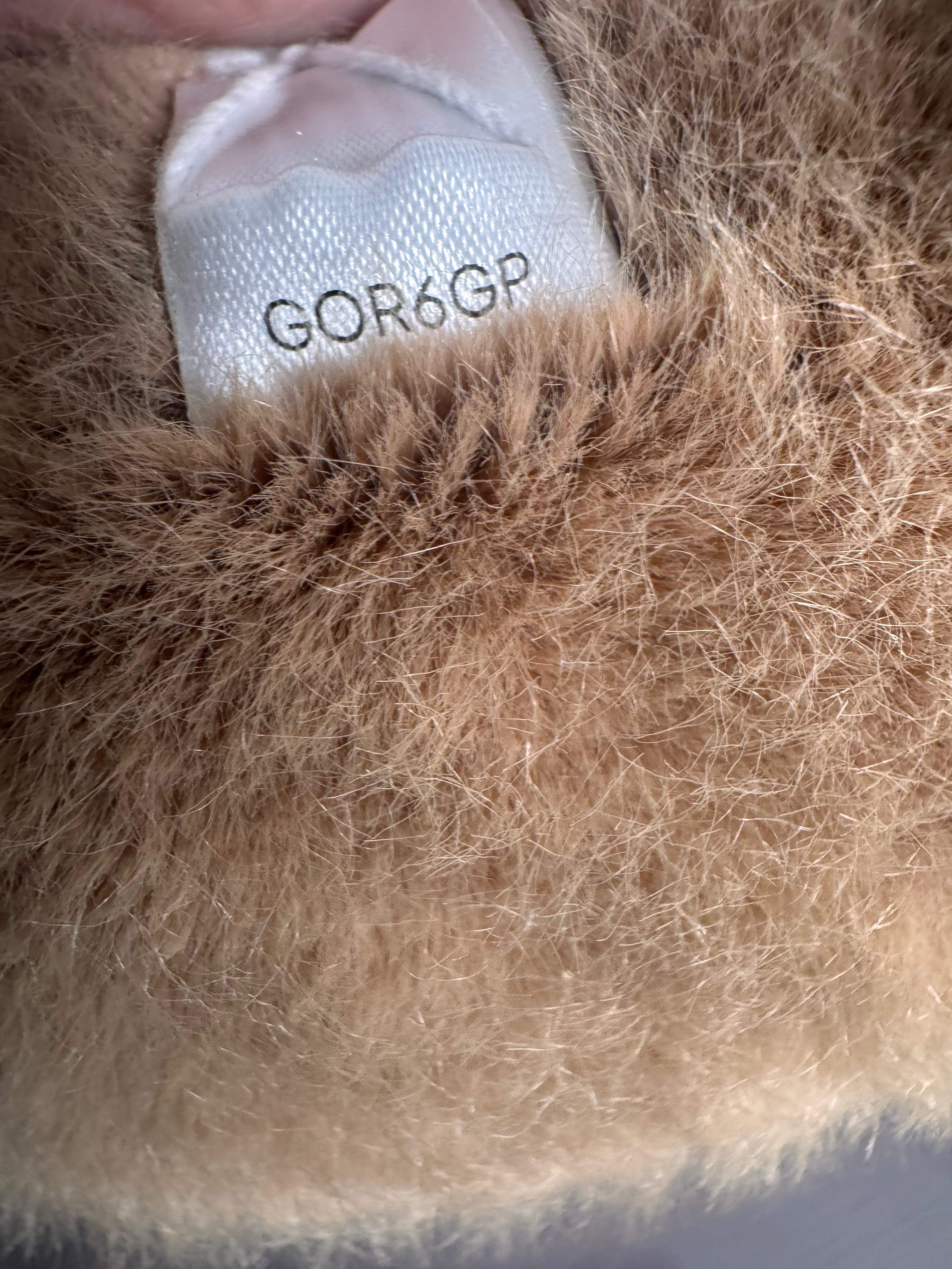 Gordy Guinea Pig
