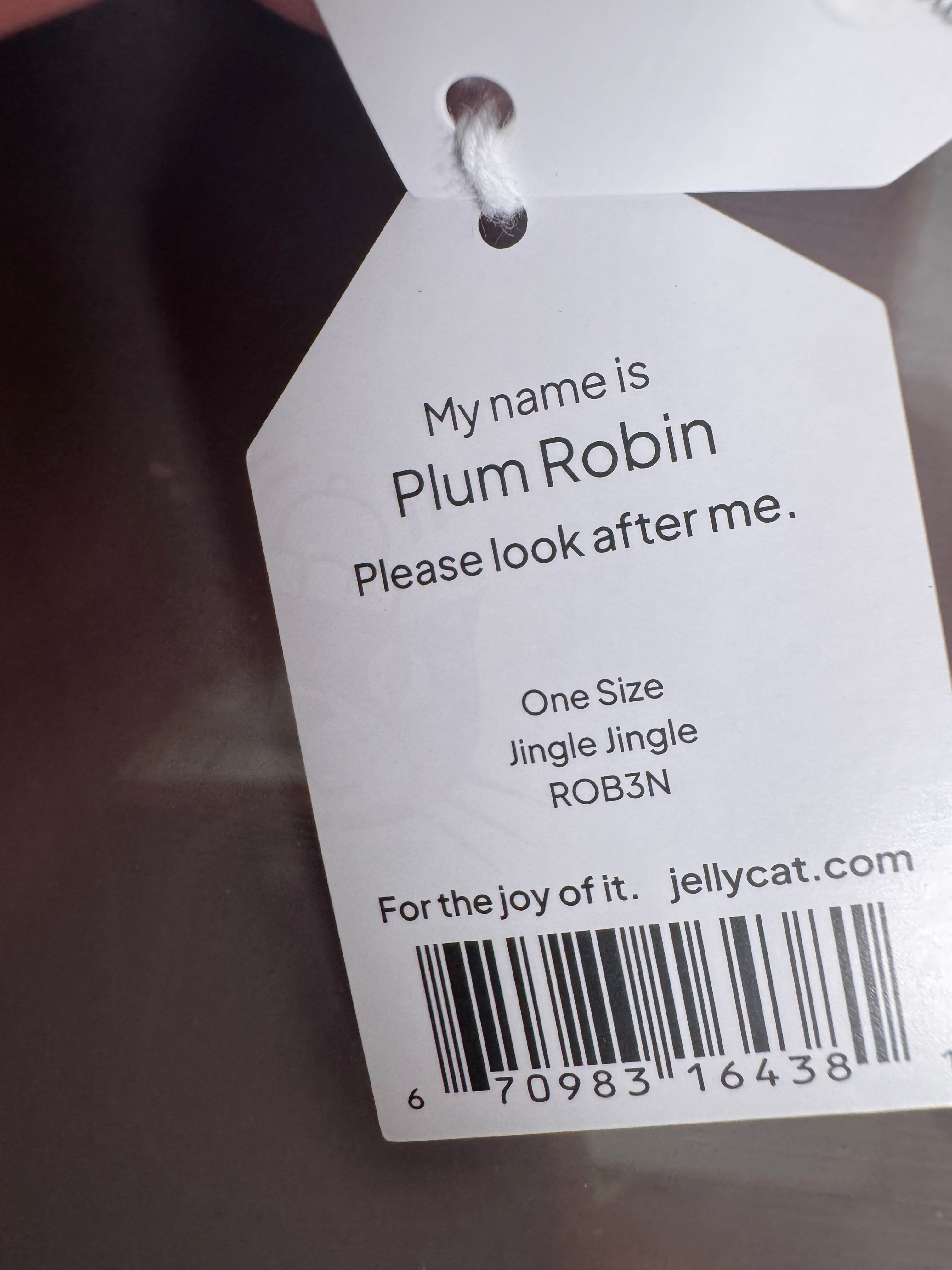 Plum Robin