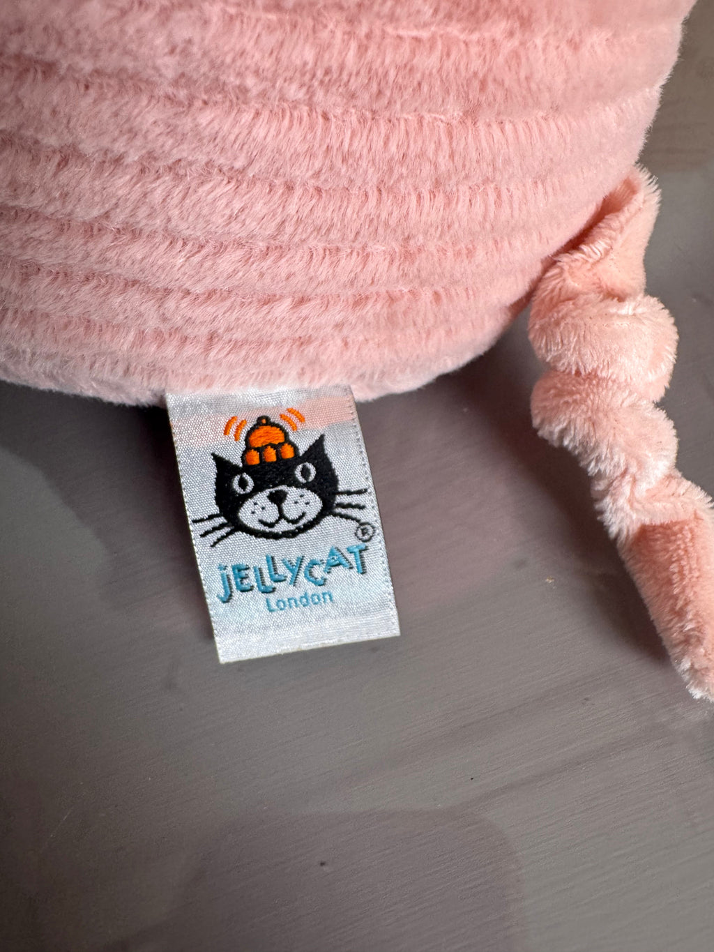 Quaxy Pig