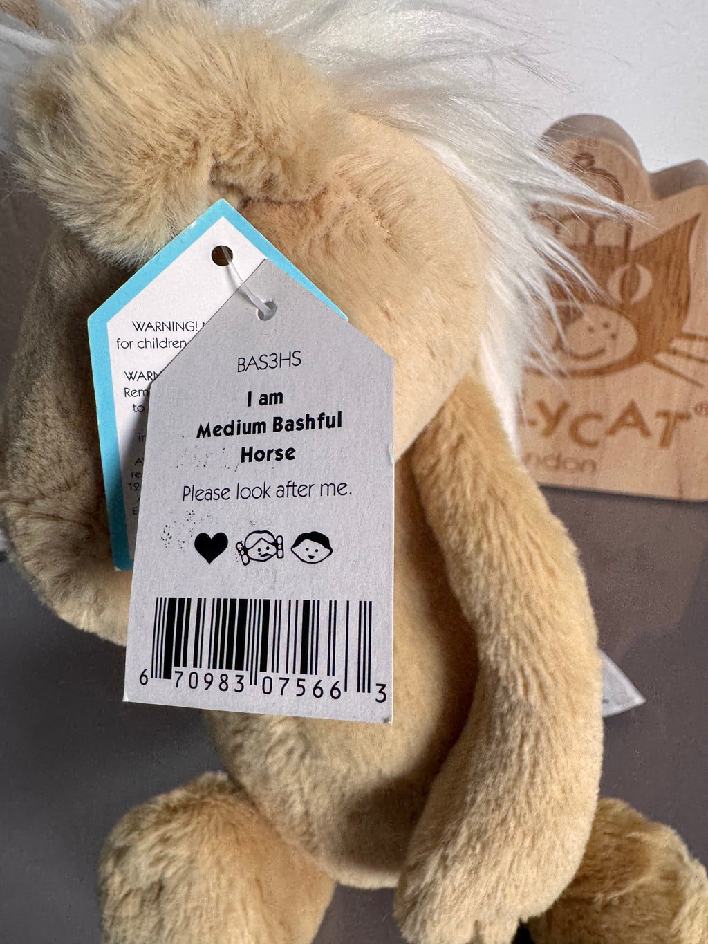 Medium Bashful Horse