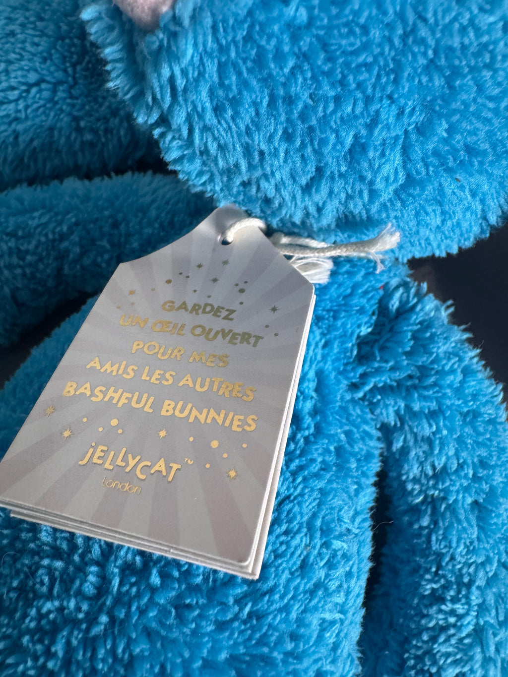 Special Edition Quentin Bashful Bunny