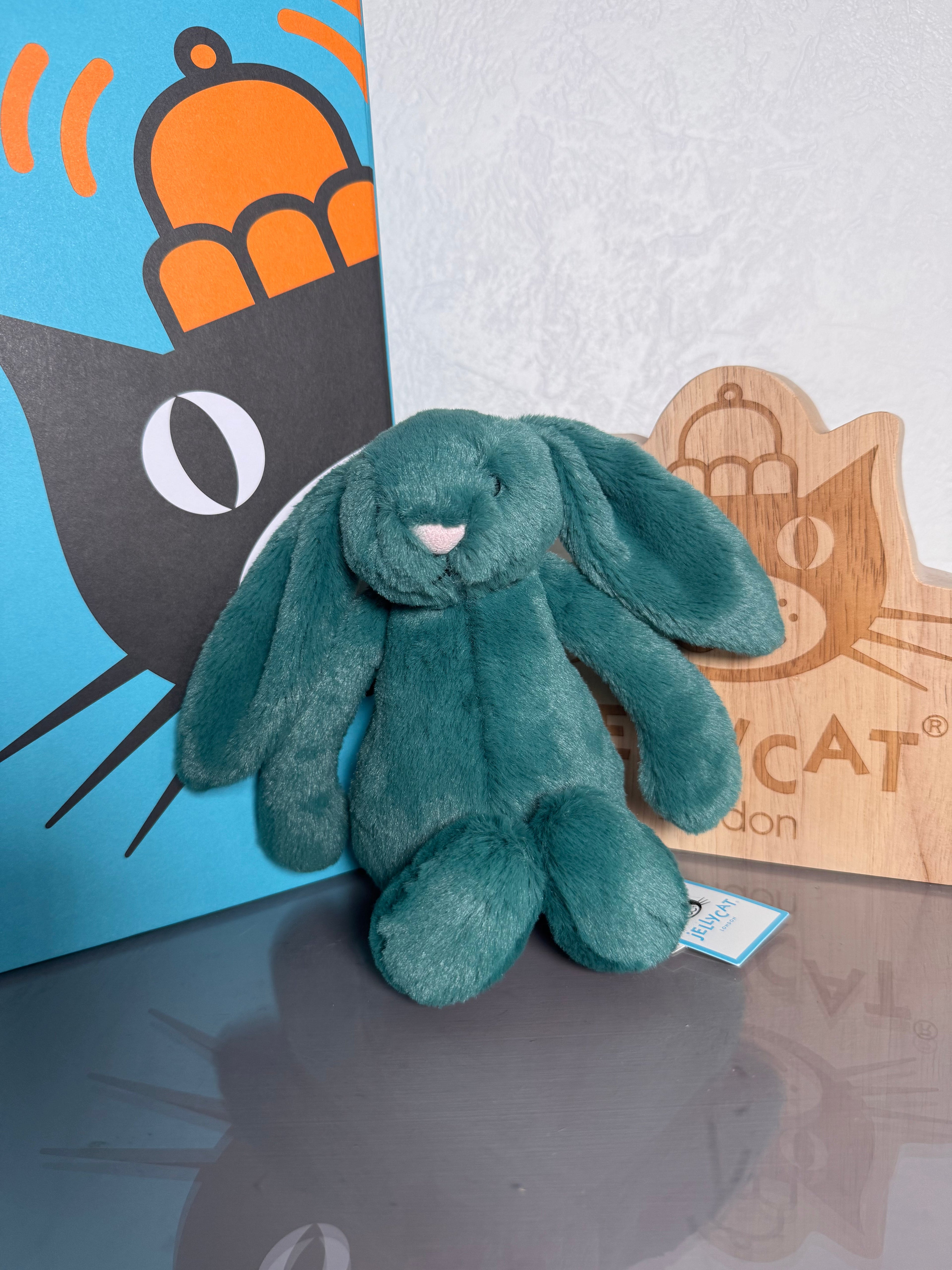 Small bashful Teal bunny