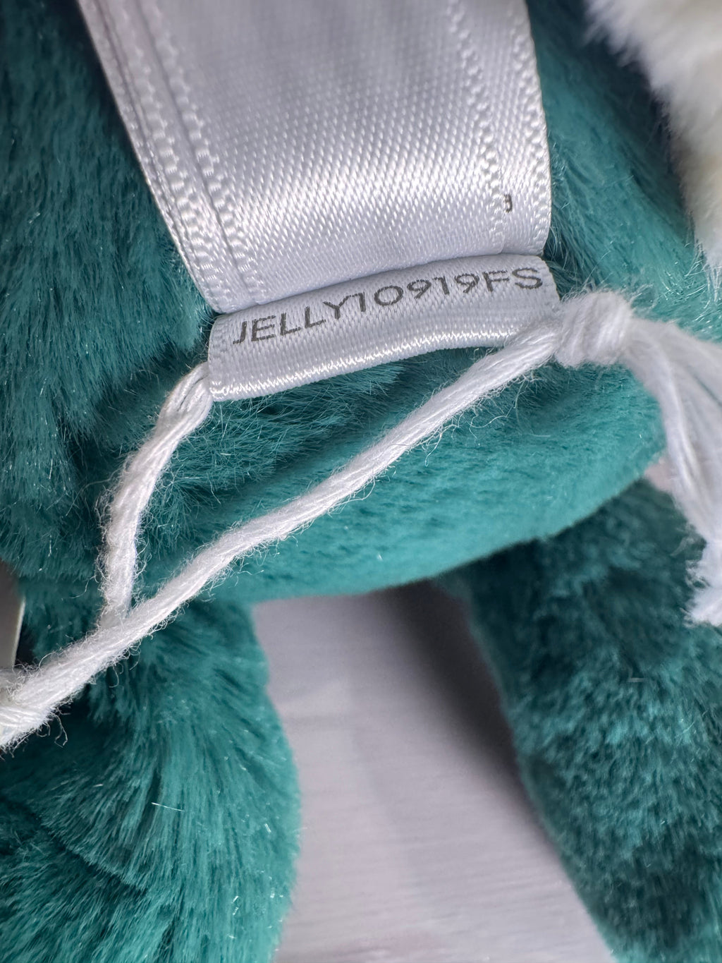 Small bashful Teal bunny