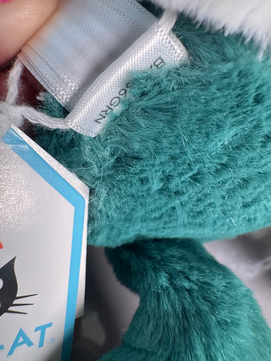 Small bashful Teal bunny