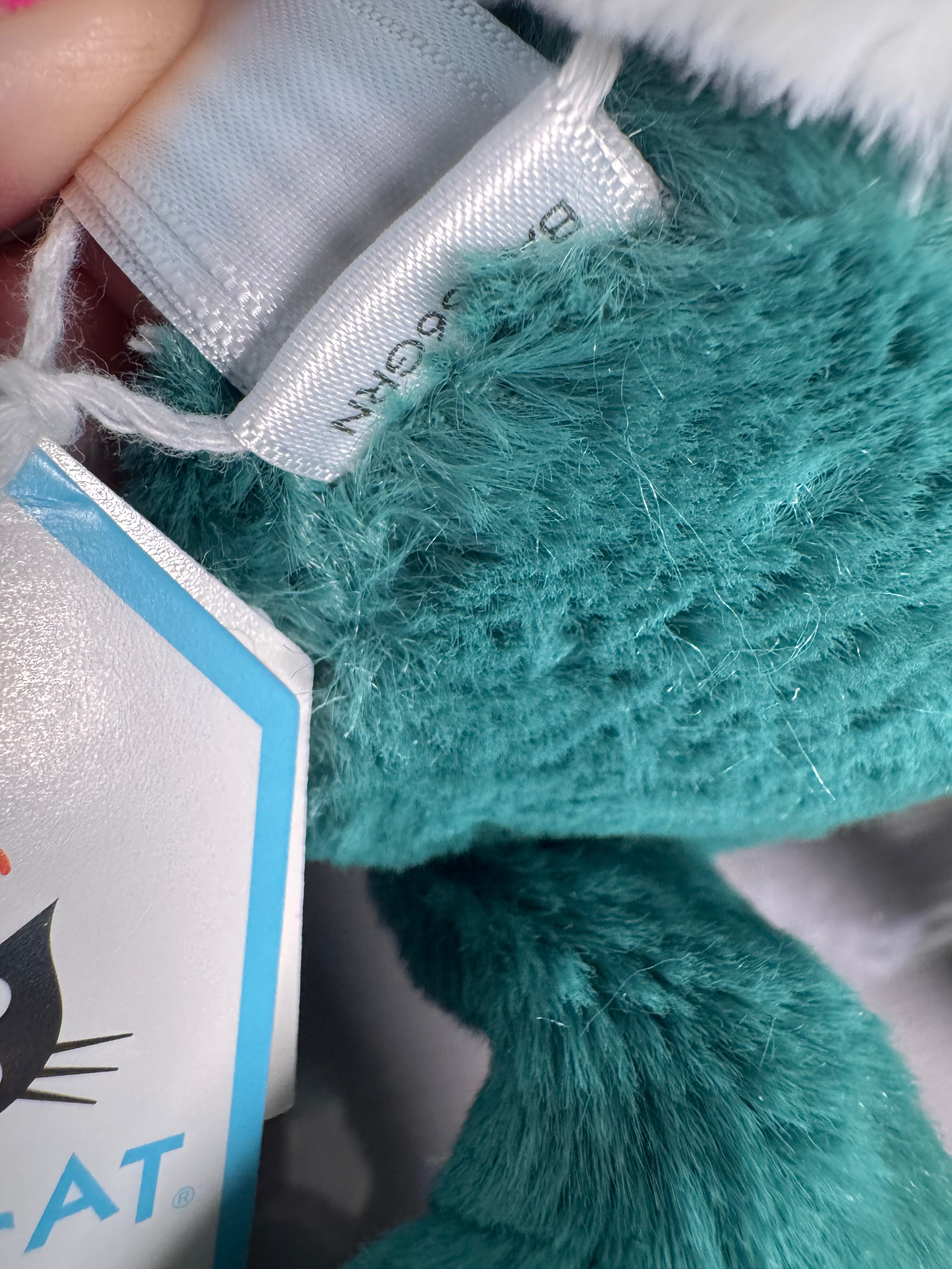 Small bashful Teal bunny