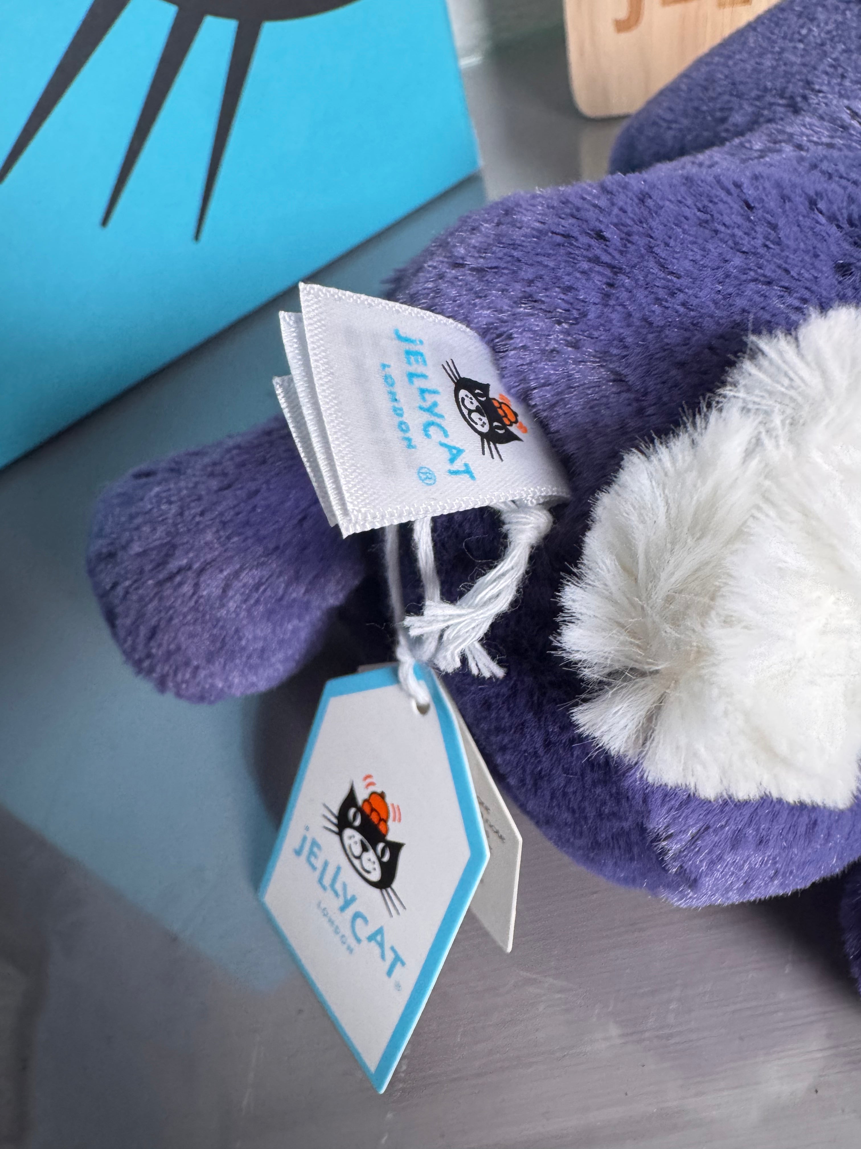 Small bashful Saffyre bunny