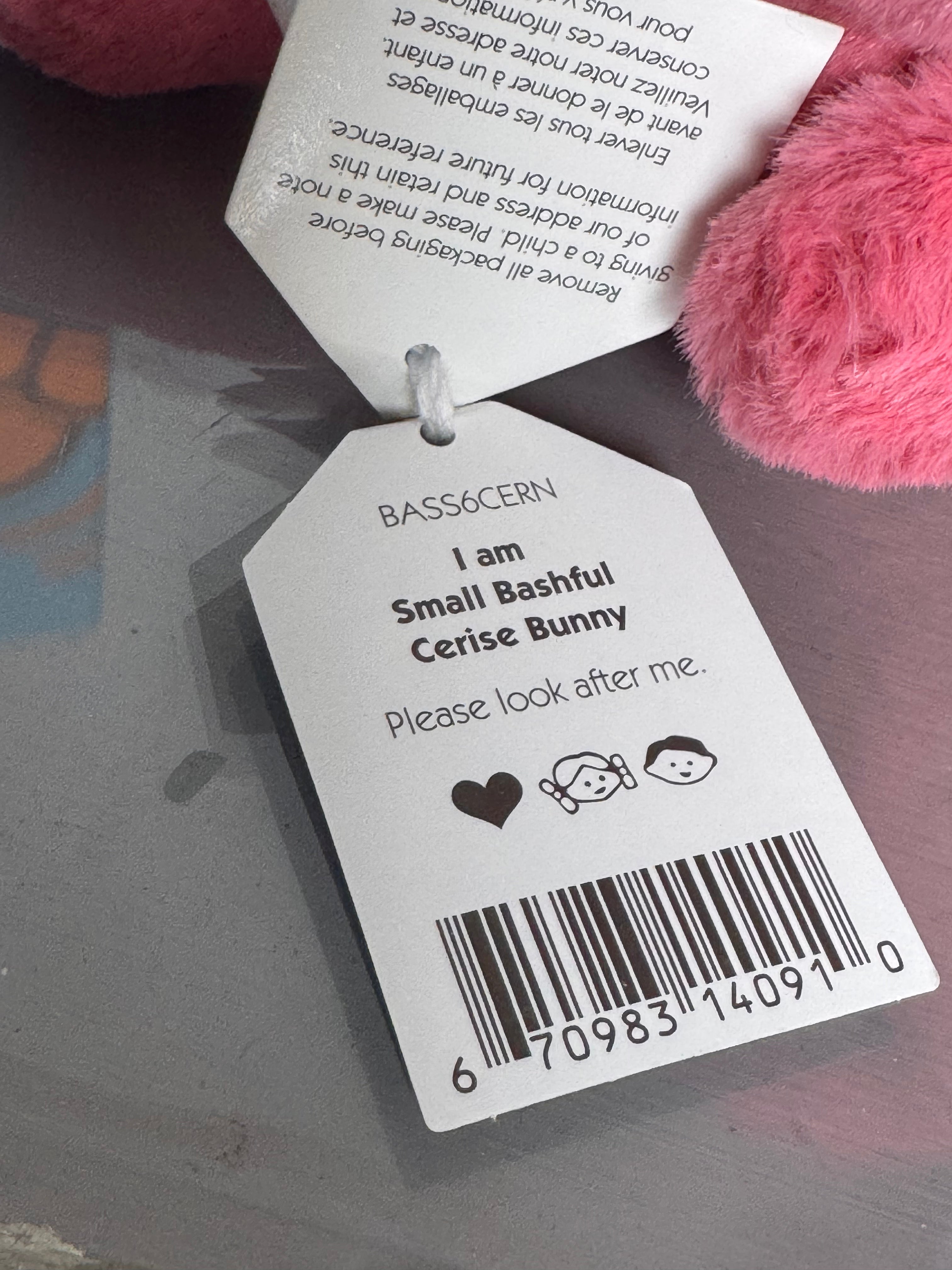 small bashful cerise bunny