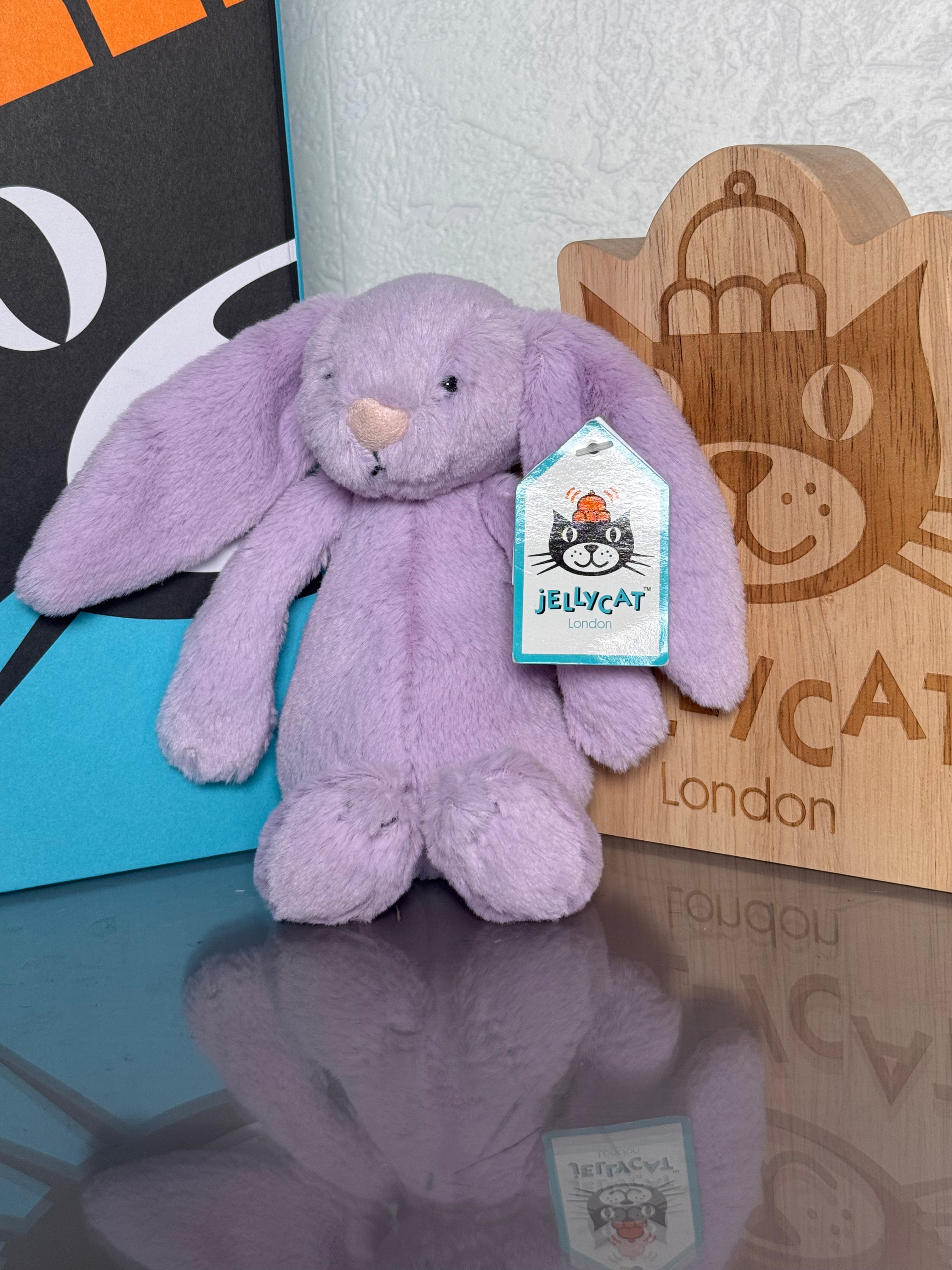 small bashful lilac bunny