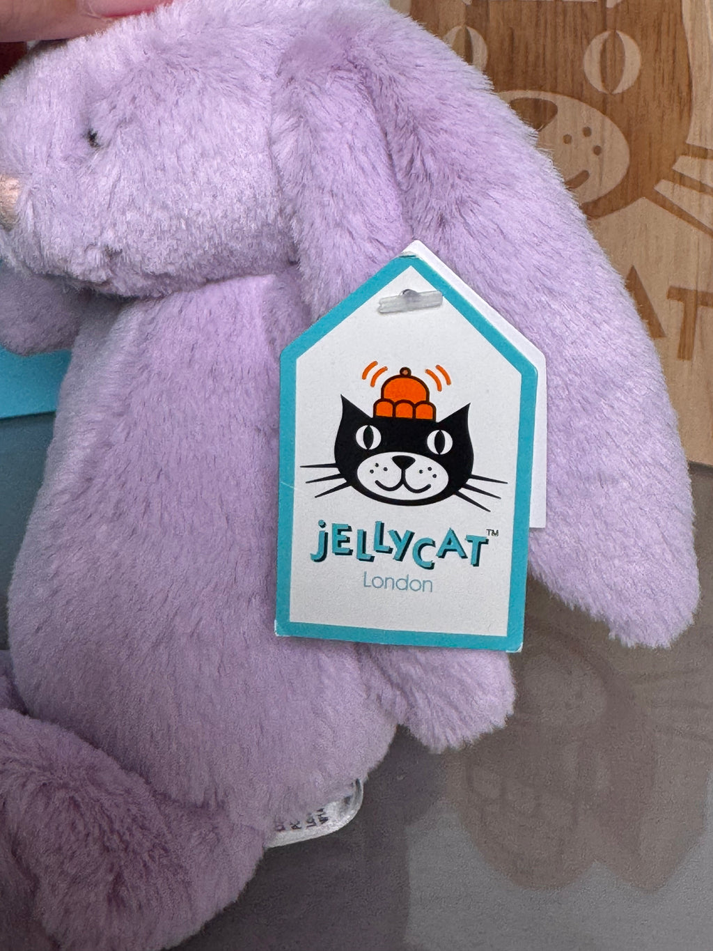 small bashful lilac bunny