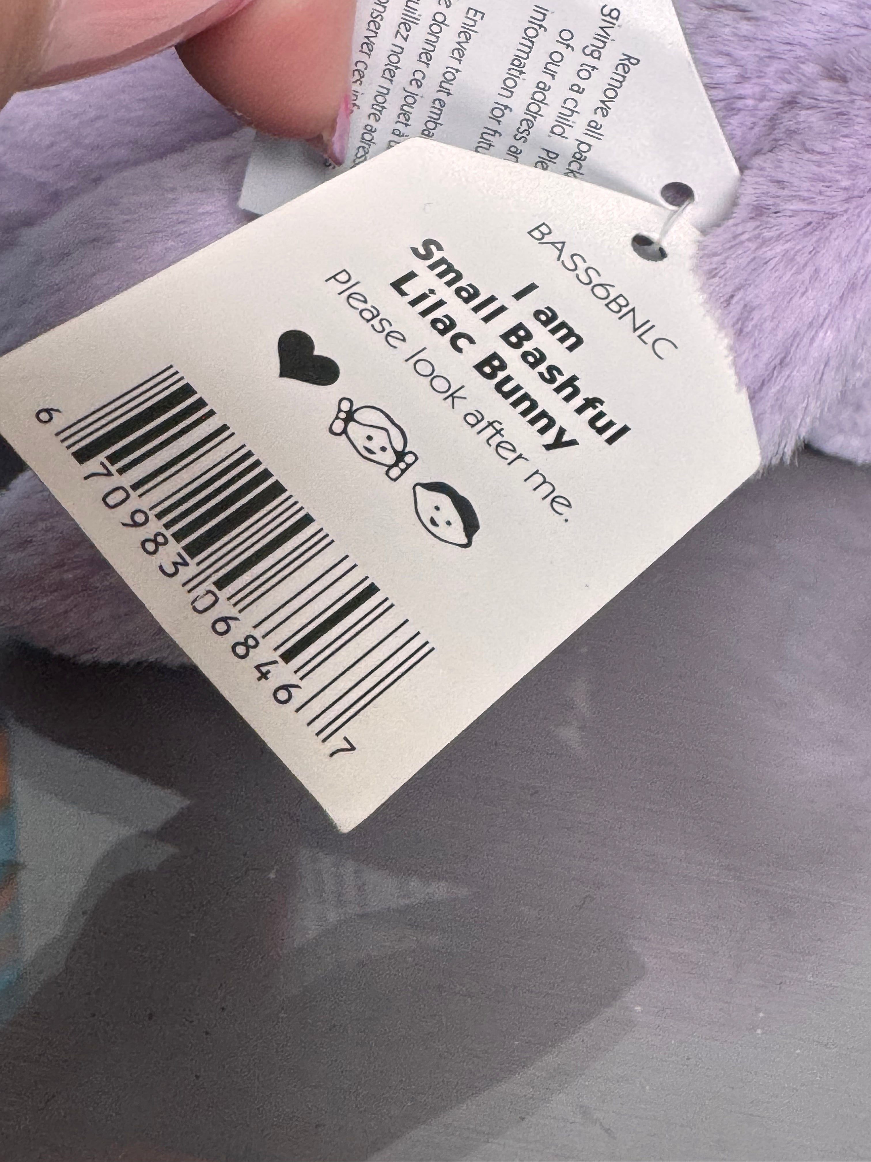 small bashful lilac bunny