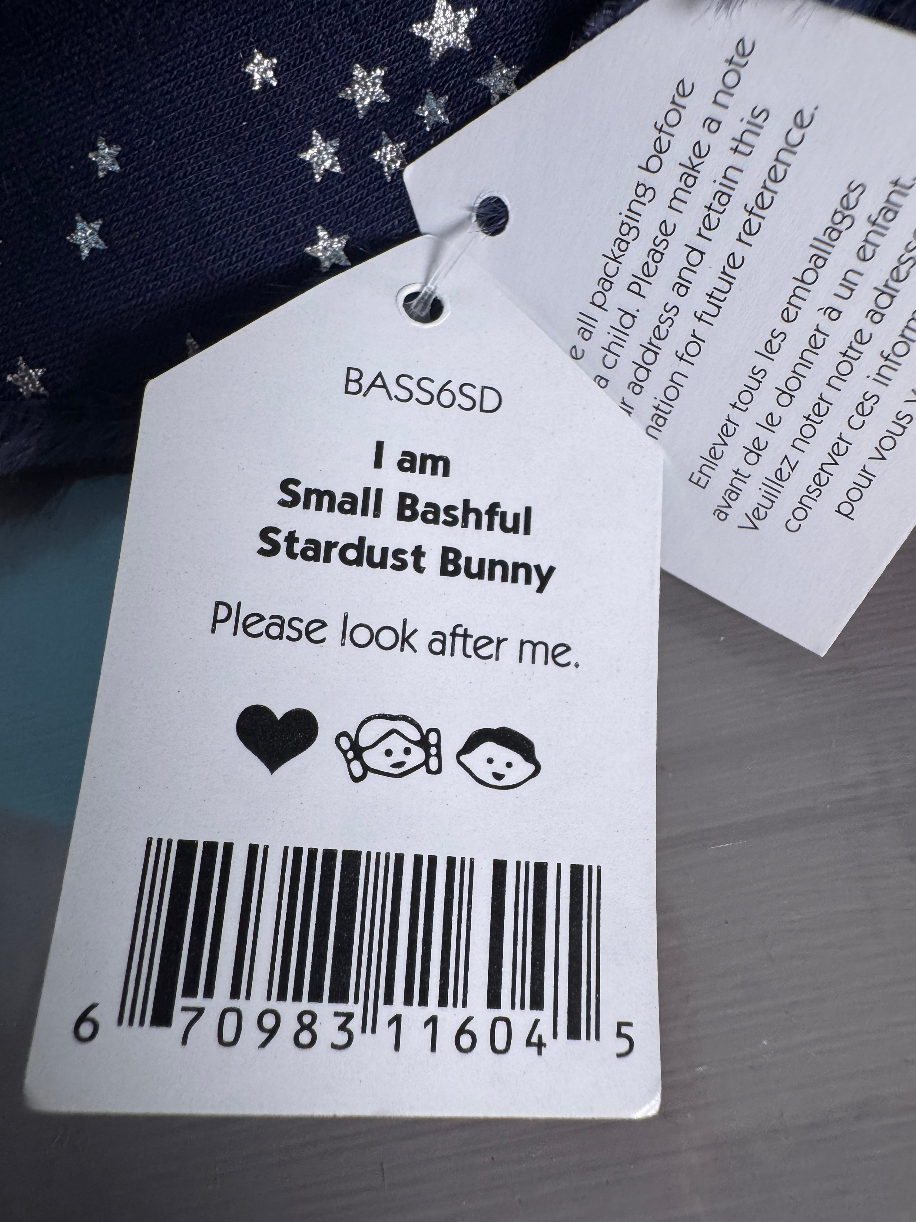 Small bashful stardust bunny