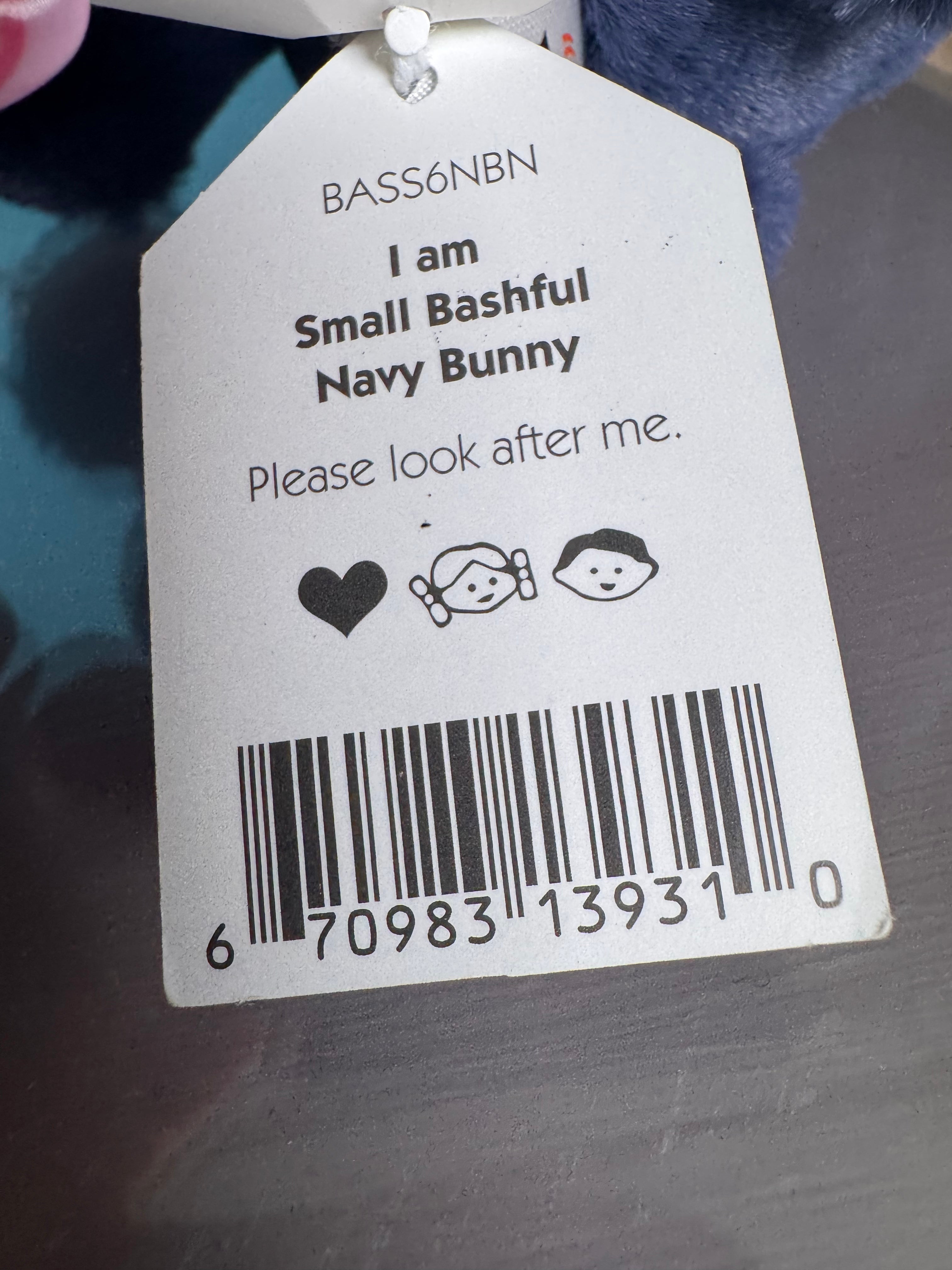 small bashful navy bunny
