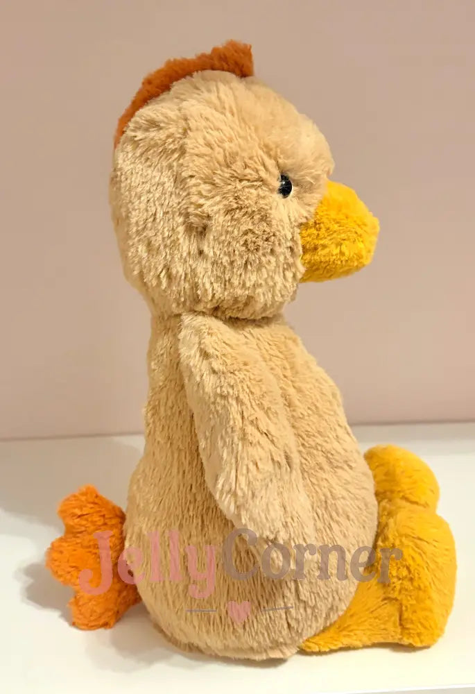 Bashful Rooster (Medium)