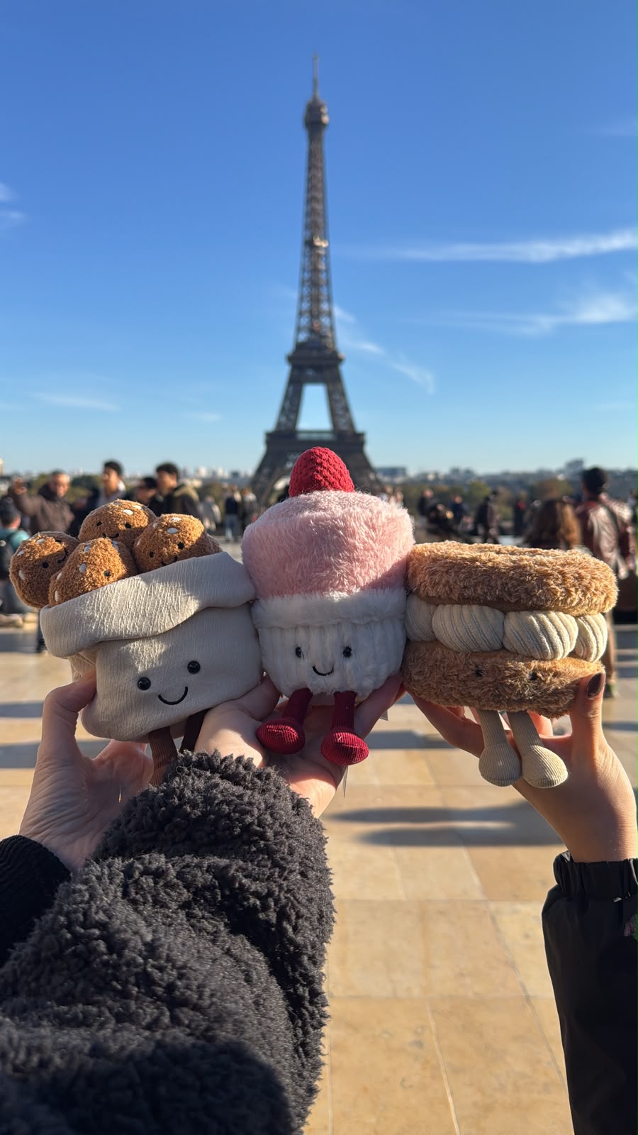 Jellycat Paris exclusive Bundle- Amuseables Aérée Raspberry Soufflé, Amuseables Scrump de Chouquettes | Matching Pin, Amuseables Pralinda Paris-Brest | Matching Pin