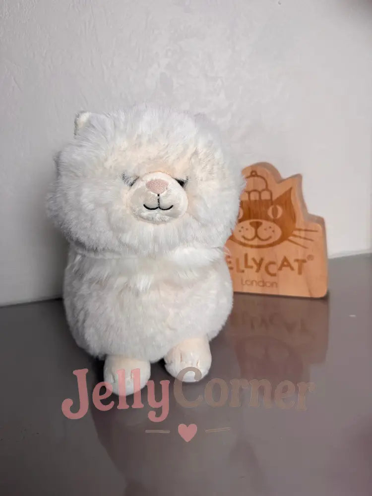 Clarissa Persian Cat