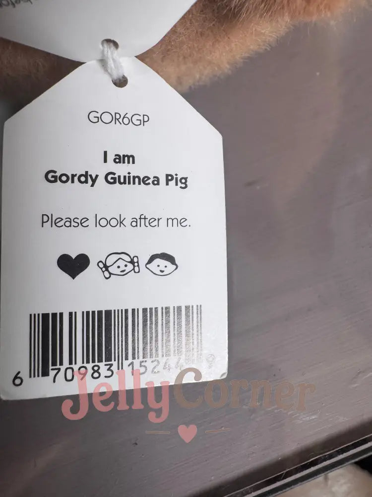Gordy Guinea Pig