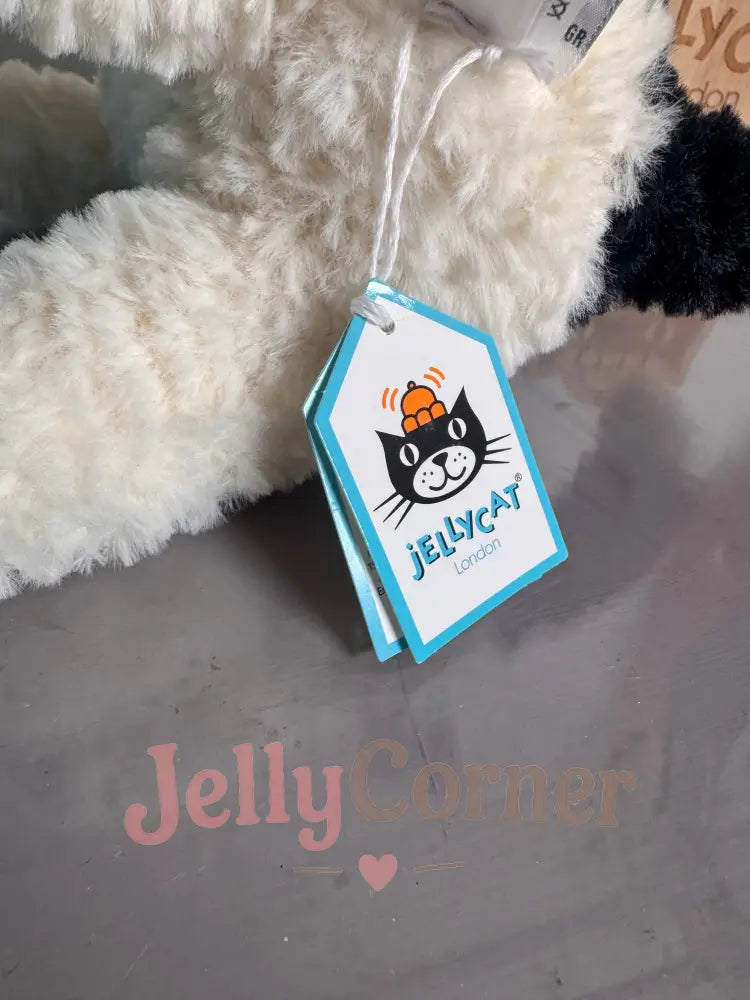 `Hector Fox Terrier