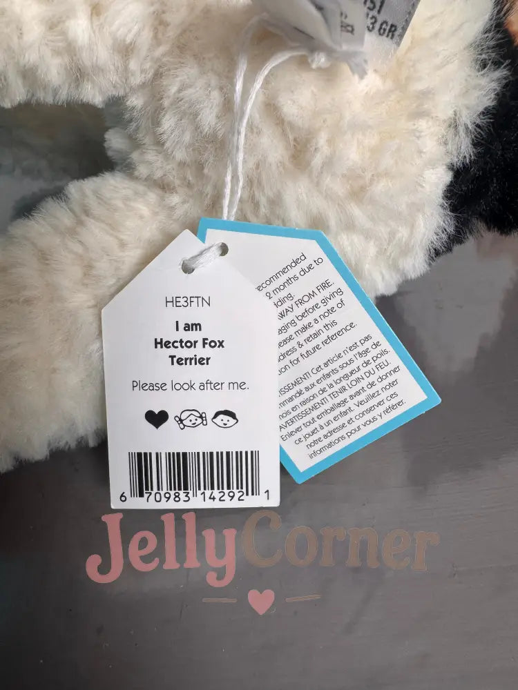 `Hector Fox Terrier