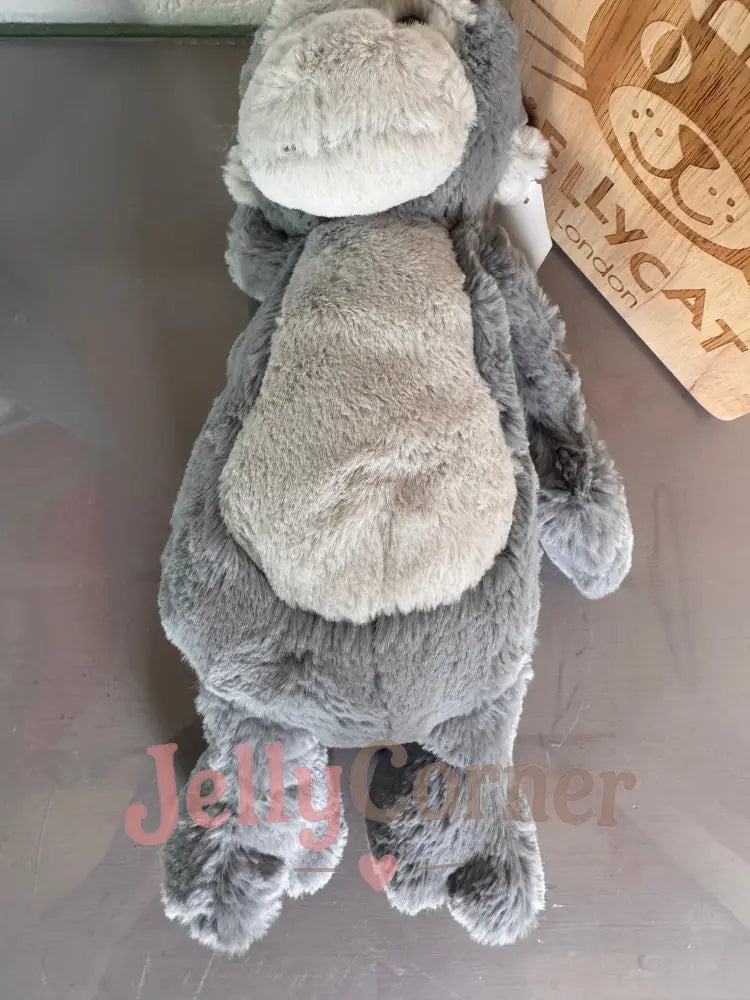 Medium bashful Gorilla