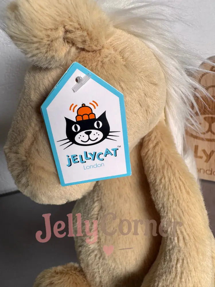 Medium Bashful Horse