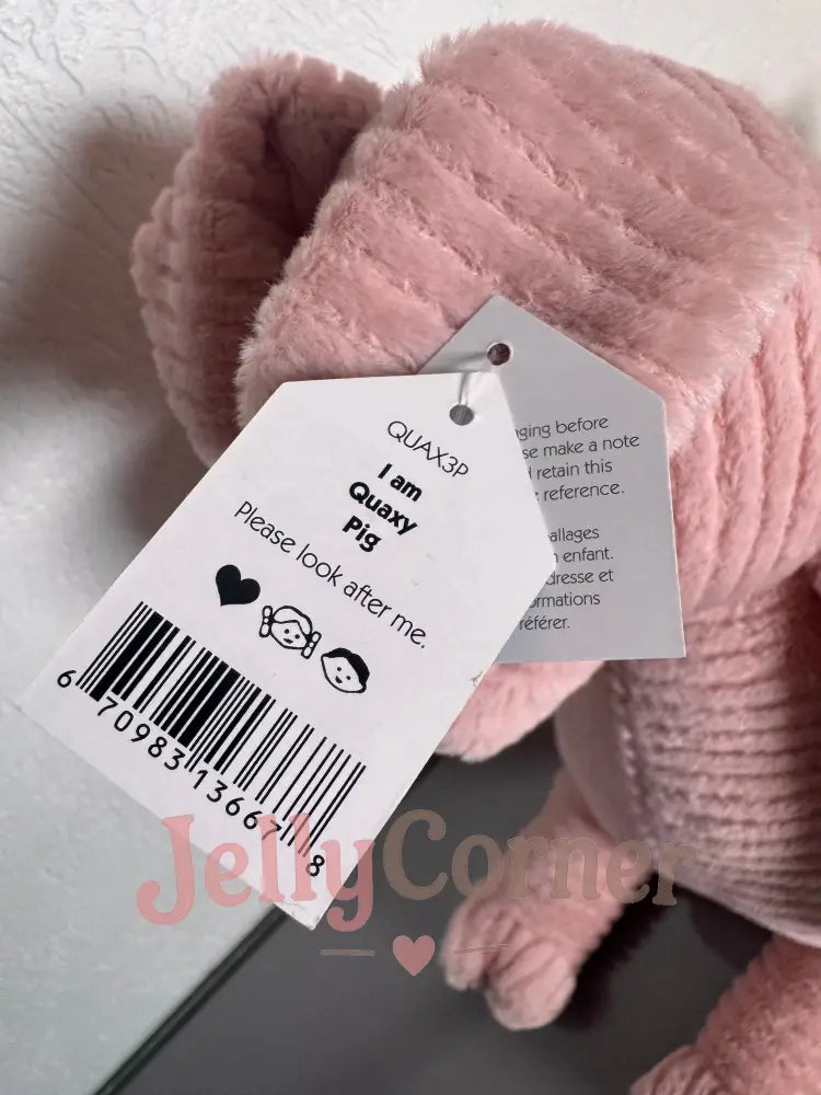 Quaxy Pig