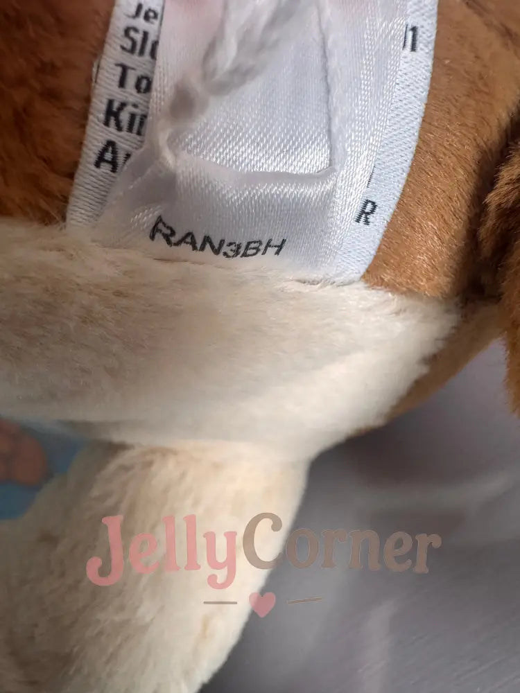 Randall Basset Hound