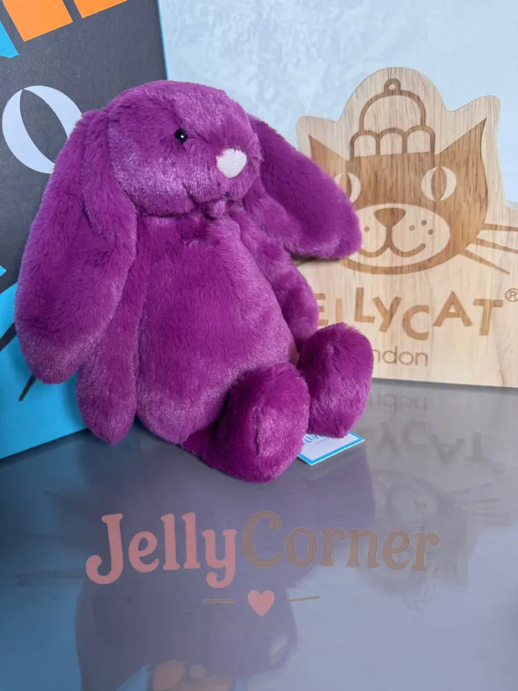 Small bashful Allium bunny
