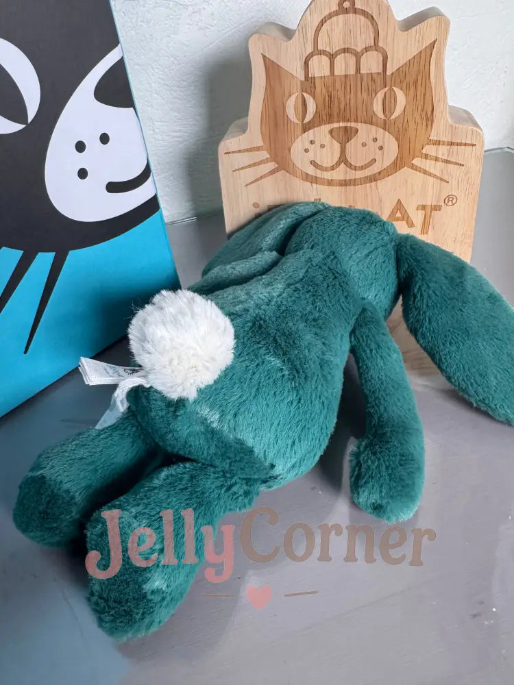 Small bashful Teal bunny