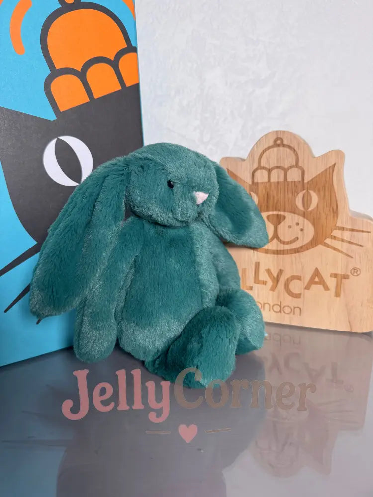 Small bashful Teal bunny